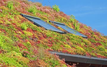 Higham Wood living roof systems